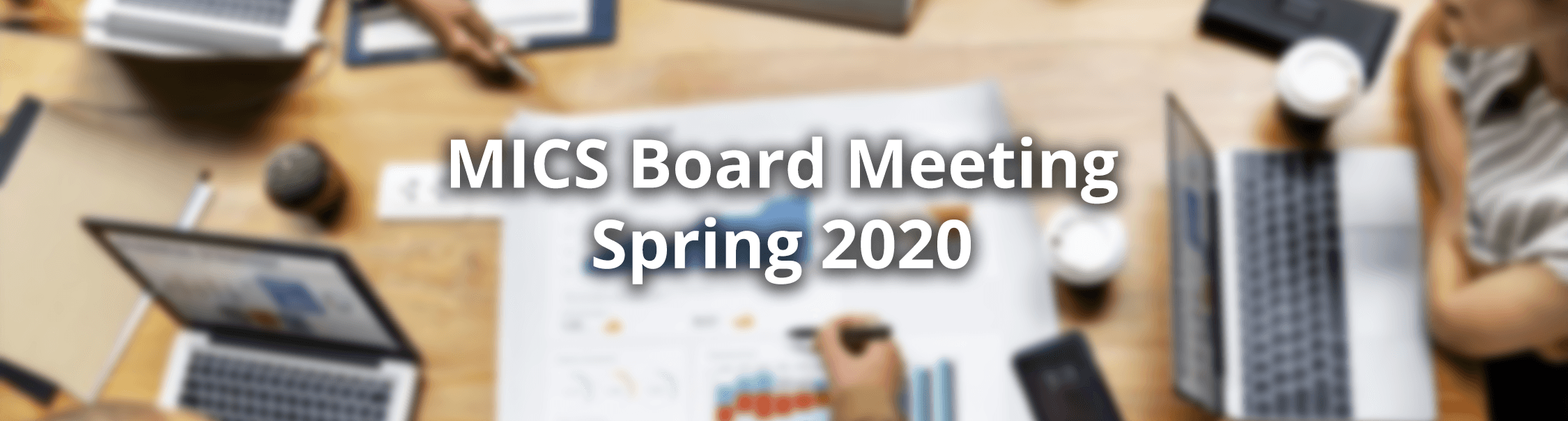 MICS Spring Board Meeting 2020