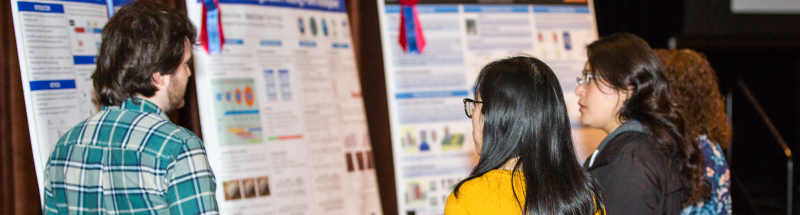 Annual Research Summit Graphic